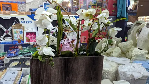 Elegant White Orchid Floral Arrangement