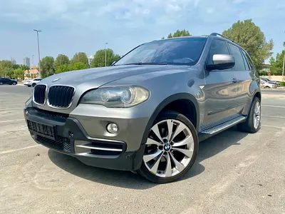 2008 BMW X5 — миниатюра 16