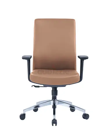 Medium back executive leather chair