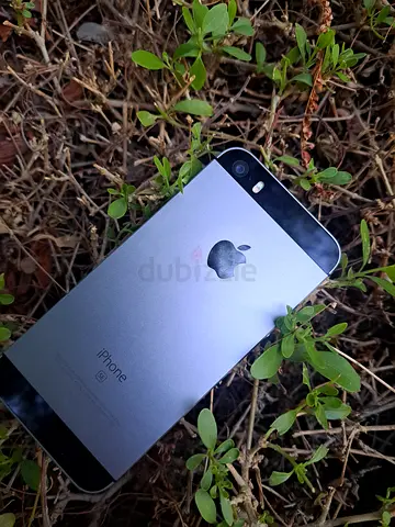 I phone SE