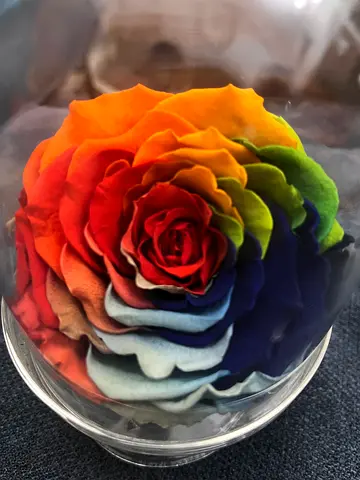 Colorful/ Rainbow Forever Rose Home Display 18k 21k 22k gold