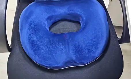 Donut Seat Cushion