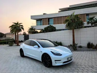 صورة مصغرة 12 لـ 2020 Tesla MODEL 3
