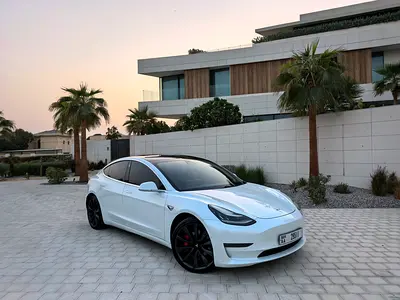 TESLA MODEL 3 PERFORMANCE 2020 UNDER WARRANTY TELL 2028 GCC