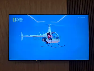 LED Wall Mounted ,Handy SERVICES,