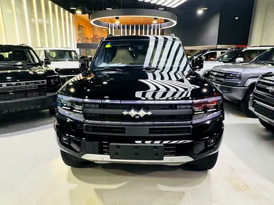 2025 BYD Leopard 5 Ultra 1-locks warranty