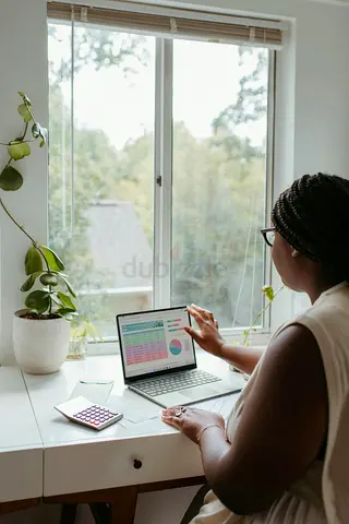 Data Entry (Excel or Google sheets)