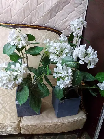 IKEA Artificial Flower Plants