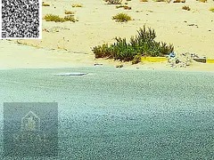 Residential investment land directly on Sheikh Mohammed Street with a permit to sell real estate uni