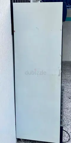 Double sliding doors freezer