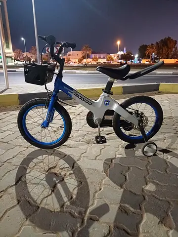 Stylish Kids Bicycle for Your Little Racer!