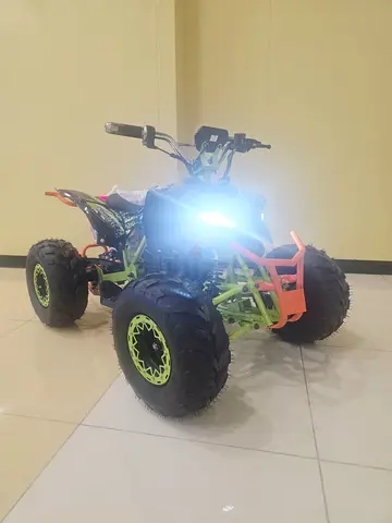 Electric qurd bike
