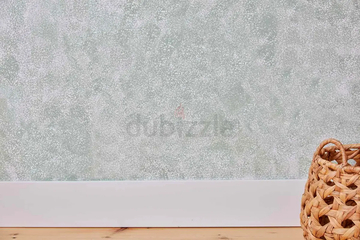 DPV_View_Image_4