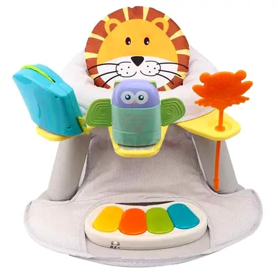 Baby Feeding Chair 2- In-1 Booster Seat  Activity