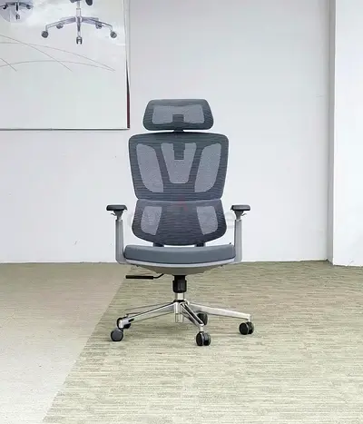 Executive ergonomic mesh chair