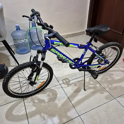 Bicycle 20 inch Spartan