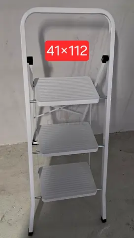 Branded New Heavy and Strong Ladder