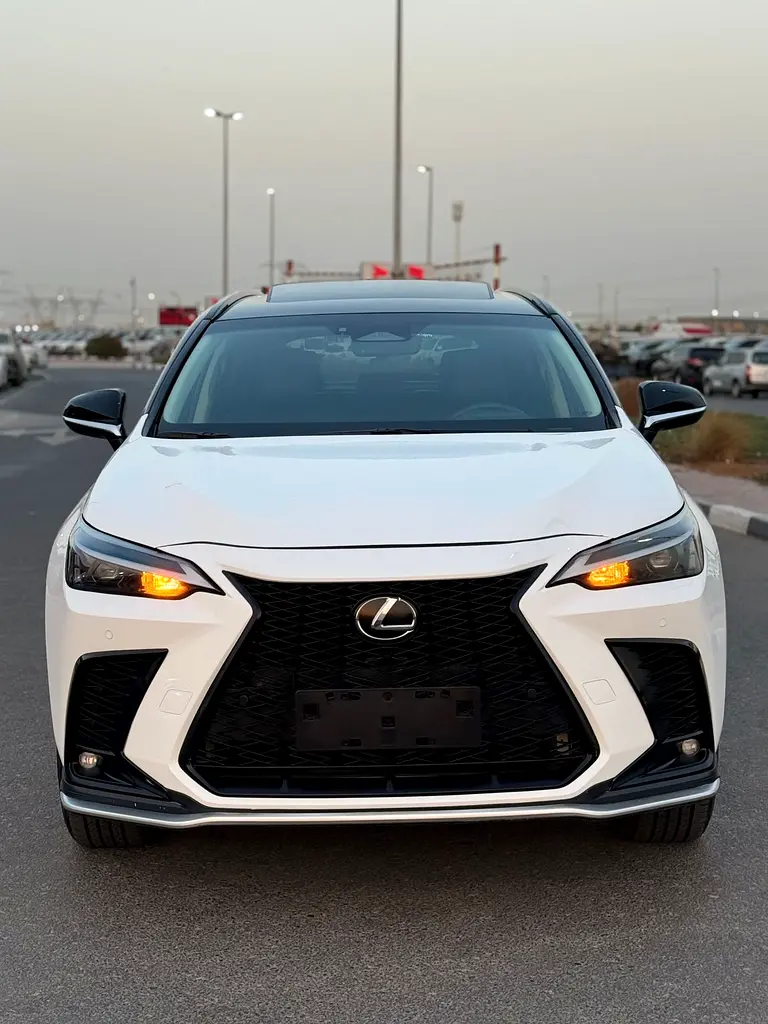 Lexus NX-Series 2025 — photo 1 of 20