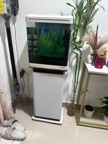 Stylish and Small Aquarium for Sale..