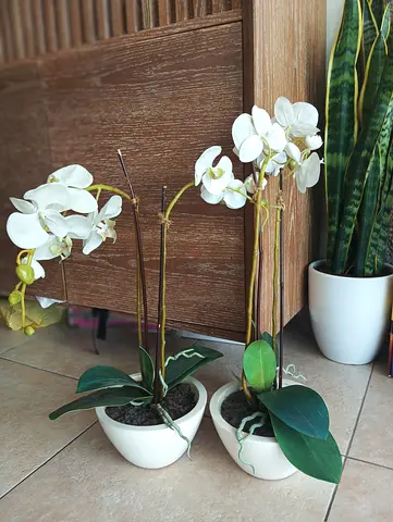 Last price! 110 free delivery! Set of two orchids with pots ! Faux Flower Pots - Perfect Home Decor