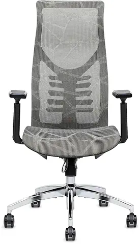 Ergonomic Office Chair for Comfortable Work Days