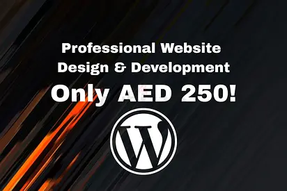 Professional Website Design  Development