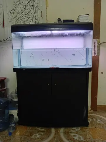 Stunning Black Aquarium Stand with Spacious Tank