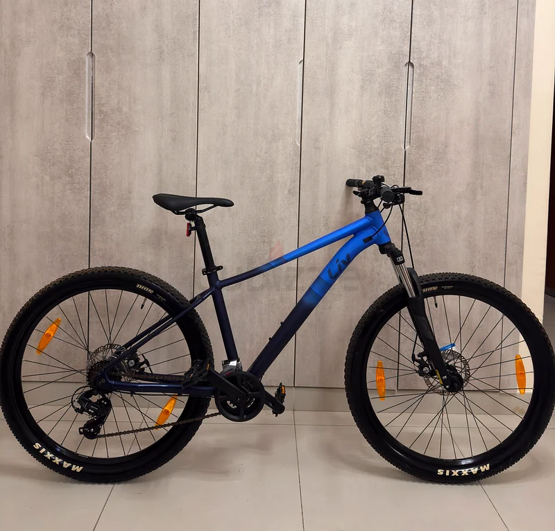 Giant liv Tempt bike bicycle dubizzle