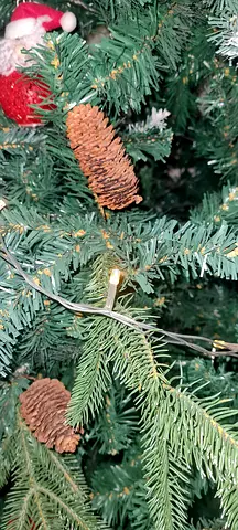 Huge Christmas tree