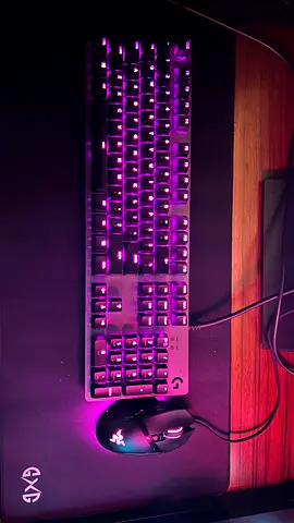 Keyboard Logitech G513  Mouse Razer v3