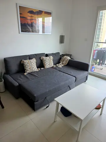 Ikea Sofa and Coffee Table
