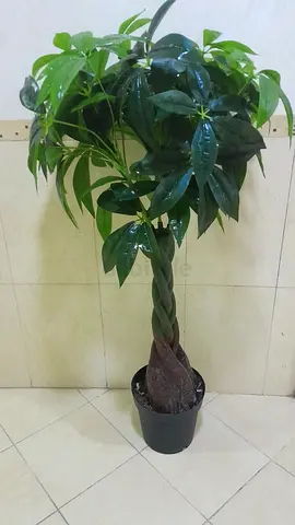 Stylish Indoor Artificial Plant for Elegant Decor