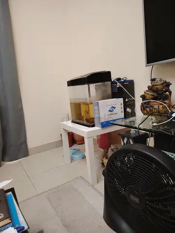 Aquarium Ready for Your New Fish