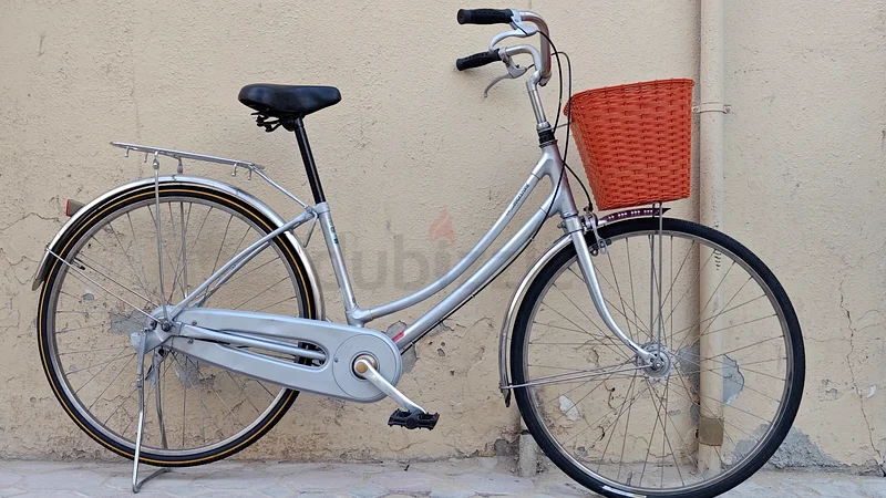 Cruiser bicycle JAPAN import Bridgestone brand high quality strong