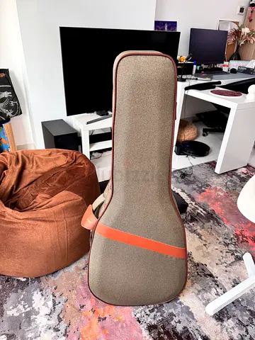 Bespoke guitar case