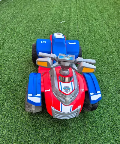 Kids Paw Patrol quad