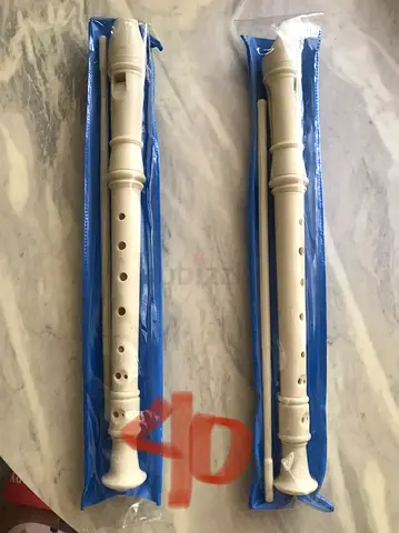Musical Flute