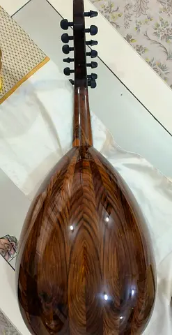 عود حافظ السليمان فرس ثابته