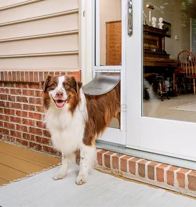 PetSafe Sliding Glass Cat and Dog Door Insert - Great for Rentals and Apartments - No Cutting DIY In