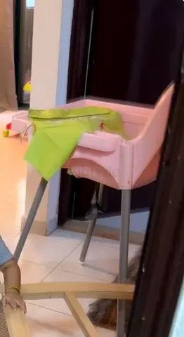 Pink High Chair