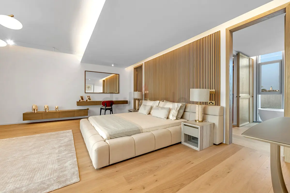 DPV_View_Image_2