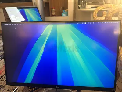 LG monitor
