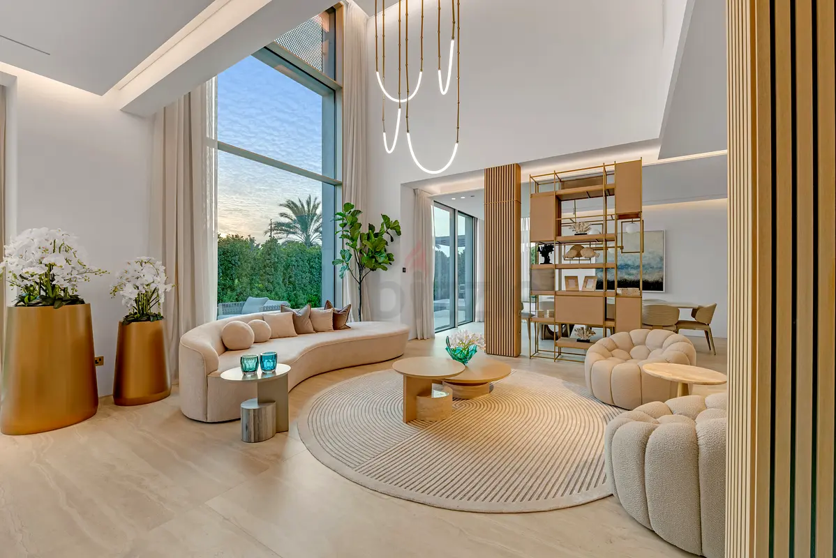 DPV_View_Image_1