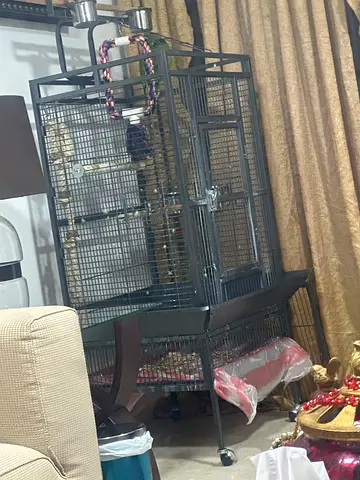 Big bird cage like new