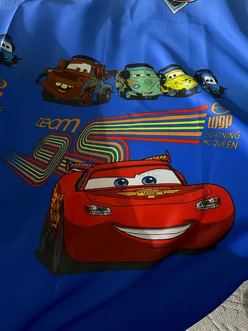 Large brand-new McQueen curtain for sale.2 pieaces