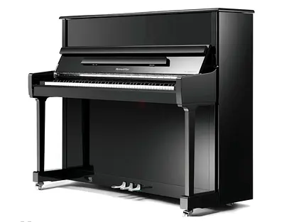 Ritmuller RS-118 Upright Piano Black for sale!