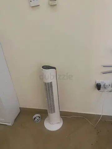 Fan