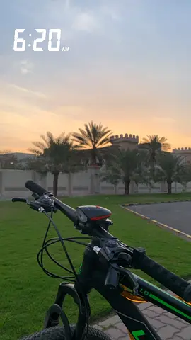 Adventure Awaits: High-Performance Mountain Bike for Sale!