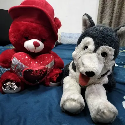 Adorable Stuffed Animals Set