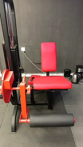 Life fitness leg extension